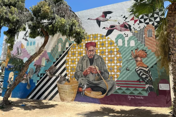 Météo à Djerba en novembre : tout savoir avant de partir