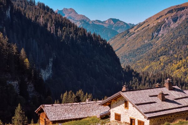 Cabane dans les arbres en Occitanie : comment choisir un vrai séjour dépaysant