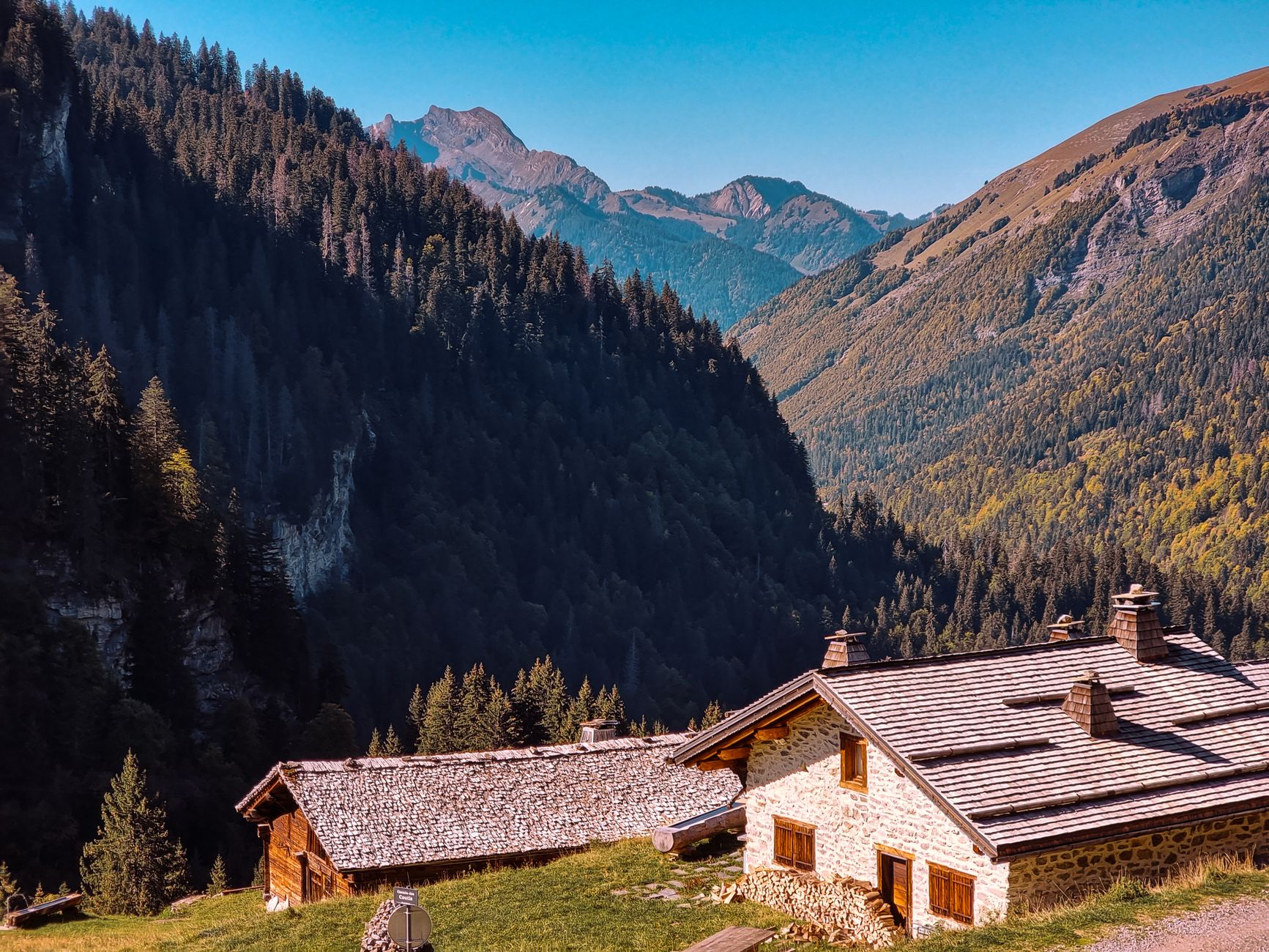 Cabane dans les arbres en Occitanie : comment choisir un vrai séjour dépaysant