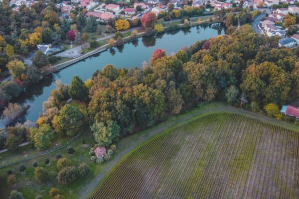 Route des vins de Bordeaux : un week-end simple entre villages et paysages