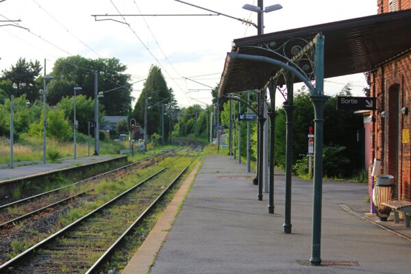 Train de l’Ardèche : une traversée rétro entre gorges et viaducs