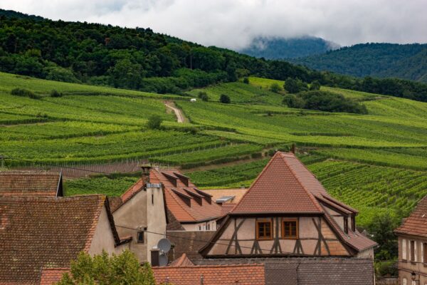 Week-end en Alsace : villages, route des vins et coins à éviter bondés
