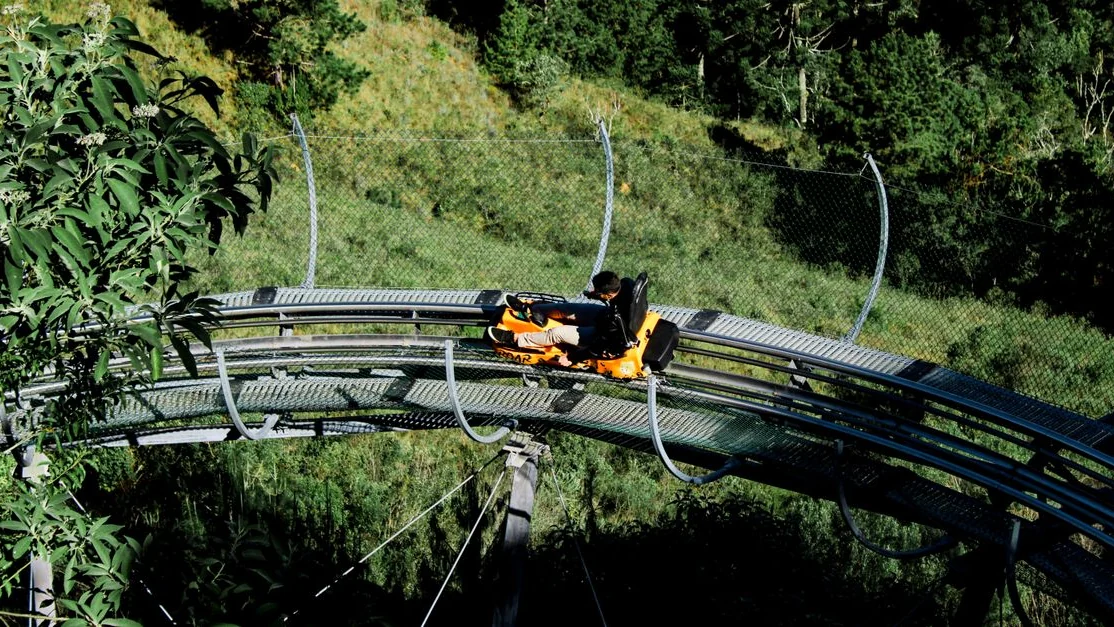 Luge d’été à Megève : le bon plan familial à prévoir entre deux balades
